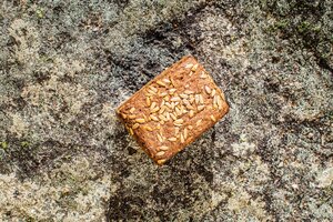 Produktfoto Keimbrot Sonnenblume Roggenvollkorn