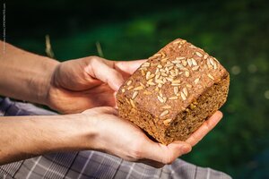 Produktfoto Keimbrot Sonnenblume Roggenvollkorn in der Hand